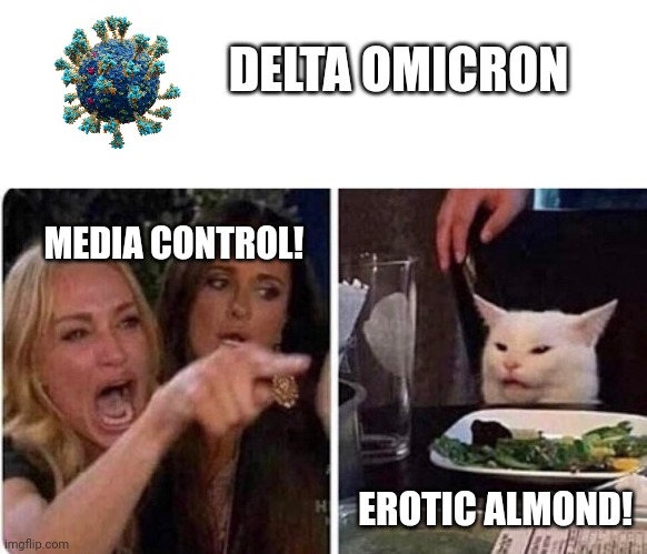 Omicron Anagram | DELTA OMICRON; MEDIA CONTROL! EROTIC ALMOND! | image tagged in lady screams at cat | made w/ Imgflip meme maker