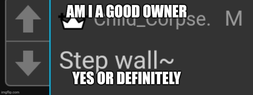 Step wall | AM I A GOOD OWNER; YES OR DEFINITELY | image tagged in step wall | made w/ Imgflip meme maker