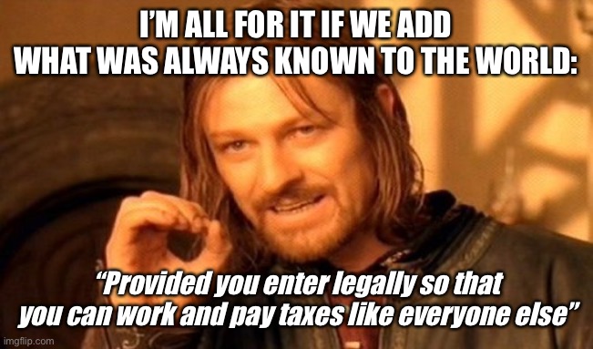 One Does Not Simply Meme | I’M ALL FOR IT IF WE ADD WHAT WAS ALWAYS KNOWN TO THE WORLD: “Provided you enter legally so that you can work and pay taxes like everyone el | image tagged in memes,one does not simply | made w/ Imgflip meme maker