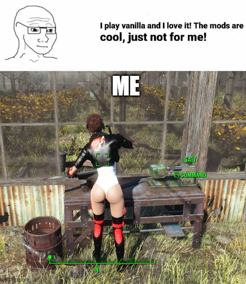 Moded Kate | ME | image tagged in mods,fallout 4 | made w/ Imgflip meme maker