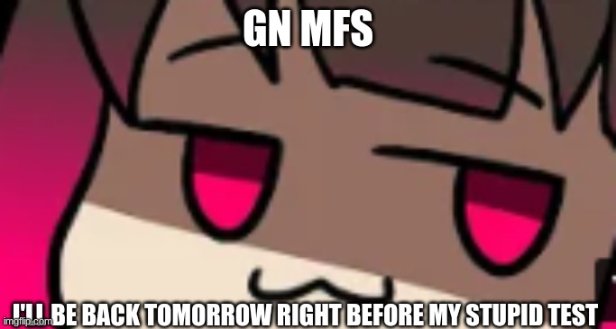 smug betty | GN MFS; I'LL BE BACK TOMORROW RIGHT BEFORE MY STUPID TEST | image tagged in smug betty | made w/ Imgflip meme maker