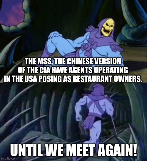 Until we meet again Skeletor | THE MSS, THE CHINESE VERSION OF THE CIA HAVE AGENTS OPERATING IN THE USA POSING AS RESTAURANT OWNERS. UNTIL WE MEET AGAIN! | image tagged in until we meet again skeletor | made w/ Imgflip meme maker