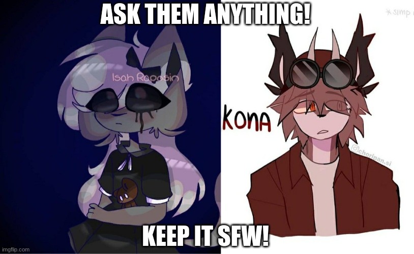 ASK THEM ANYTHING! KEEP IT SFW! | made w/ Imgflip meme maker