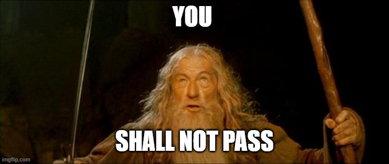 gandalf you shall not pass | YOU SHALL NOT PASS | image tagged in gandalf you shall not pass | made w/ Imgflip meme maker