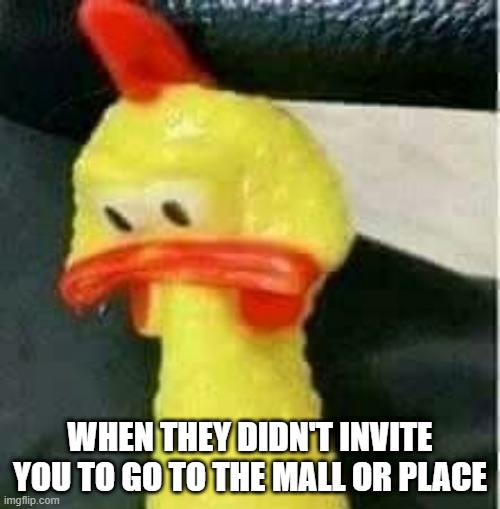 Sad chicken | WHEN THEY DIDN'T INVITE YOU TO GO TO THE MALL OR PLACE | image tagged in sad chicken | made w/ Imgflip meme maker