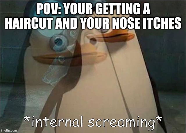 Private Internal Screaming | POV: YOUR GETTING A HAIRCUT AND YOUR NOSE ITCHES | image tagged in private internal screaming | made w/ Imgflip meme maker