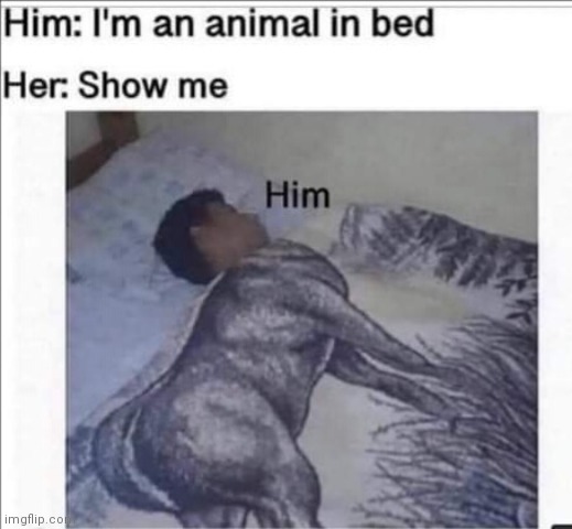 image tagged in memes,bed,animal | made w/ Imgflip meme maker