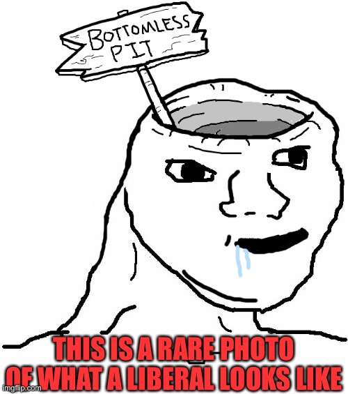 Brainlet Wojak Dumb | THIS IS A RARE PHOTO OF WHAT A LIBERAL LOOKS LIKE | image tagged in brainlet wojak dumb,liberal hypocrisy,oh wow are you actually reading these tags | made w/ Imgflip meme maker