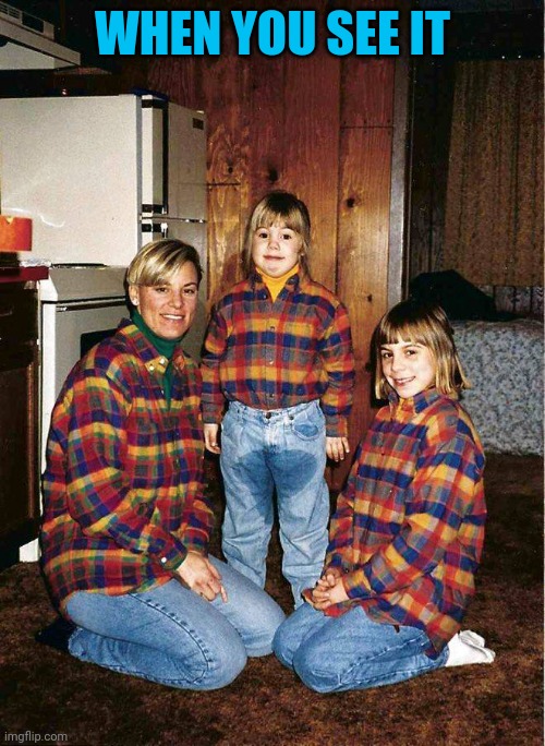 I'm so excited I could just... | WHEN YOU SEE IT | image tagged in memes,soggy | made w/ Imgflip meme maker