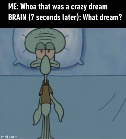 image tagged in memes,dream,squidward,brain | made w/ Imgflip meme maker