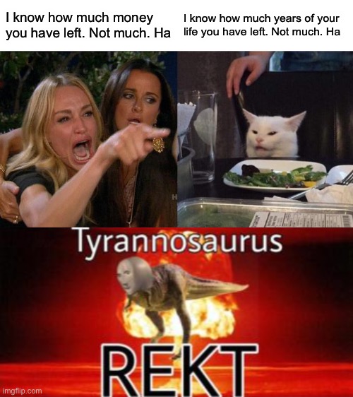 Hahaha roasted like a chicken | I know how much money you have left. Not much. Ha; I know how much years of your life you have left. Not much. Ha | image tagged in memes,woman yelling at cat,tyrannosaurus rekt | made w/ Imgflip meme maker