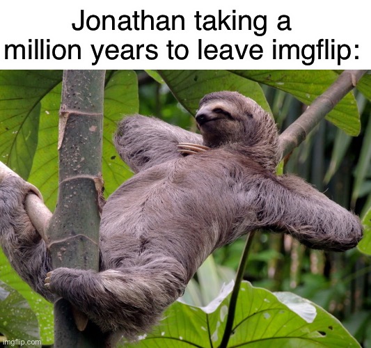 Commit to one side already.  Geez. | Jonathan taking a million years to leave imgflip: | image tagged in lazy sloth | made w/ Imgflip meme maker