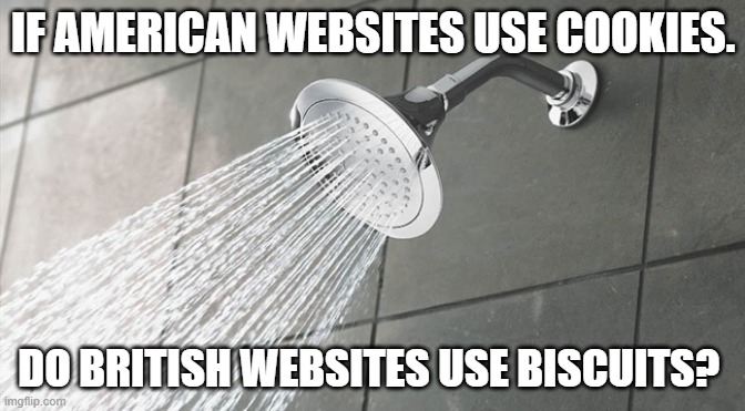 Shower Thoughts | IF AMERICAN WEBSITES USE COOKIES. DO BRITISH WEBSITES USE BISCUITS? | image tagged in shower thoughts | made w/ Imgflip meme maker