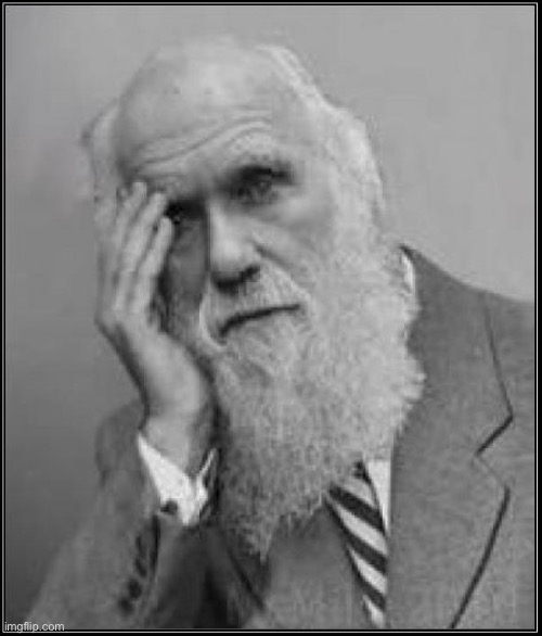 darwin facepalm | image tagged in darwin facepalm | made w/ Imgflip meme maker