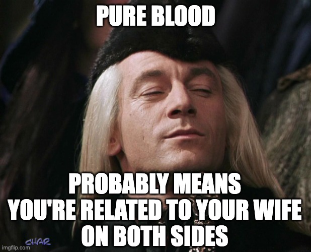 Lucius Malfoy | PURE BLOOD PROBABLY MEANS YOU'RE RELATED TO YOUR WIFE
ON BOTH SIDES | image tagged in lucius malfoy | made w/ Imgflip meme maker
