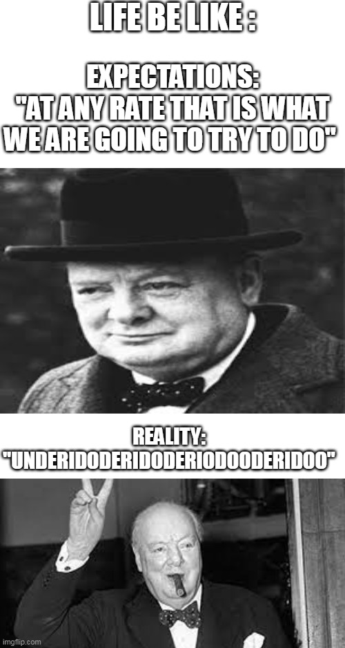 Underidoderidoderiododeridoo | LIFE BE LIKE :; EXPECTATIONS:
"AT ANY RATE THAT IS WHAT WE ARE GOING TO TRY TO DO"; REALITY:
"UNDERIDODERIDODERIODOODERIDOO" | image tagged in winston churchill,life,life sucks,expectation vs reality,memes,lol | made w/ Imgflip meme maker