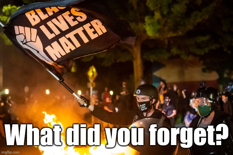 democrats being democrats | What did you forget? | image tagged in democrats being democrats | made w/ Imgflip meme maker