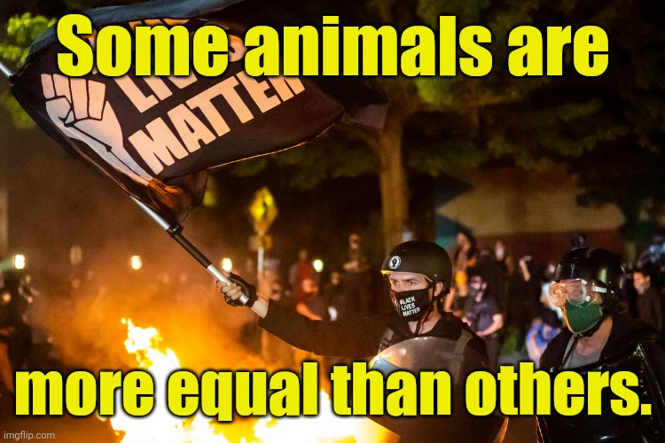 democrats being democrats | Some animals are more equal than others. | image tagged in democrats being democrats | made w/ Imgflip meme maker