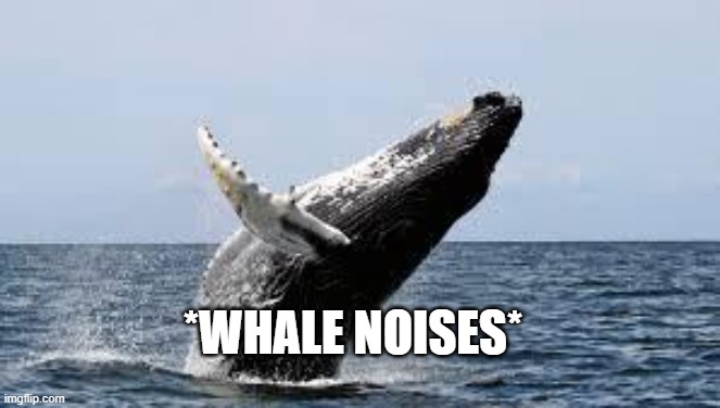 Whale. | *WHALE NOISES* | image tagged in whale | made w/ Imgflip meme maker