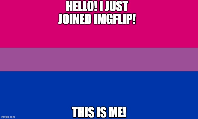 Hello everyone! | HELLO! I JUST JOINED IMGFLIP! THIS IS ME! | image tagged in bi flag | made w/ Imgflip meme maker