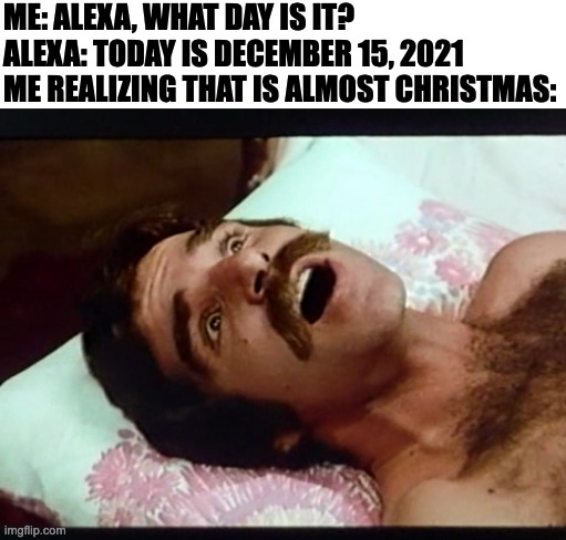 Reaize Face | ME: ALEXA, WHAT DAY IS IT?
ALEXA: TODAY IS DECEMBER 15, 2021
ME REALIZING THAT IS ALMOST CHRISTMAS: | image tagged in reaize face,funny,memes,relatable,alexa,memenade | made w/ Imgflip meme maker