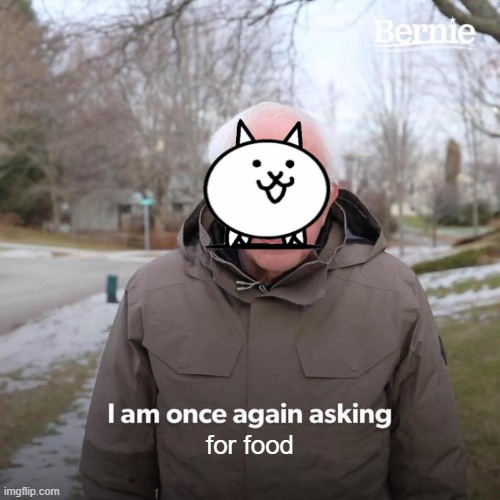 cats be like | for food | image tagged in memes,bernie i am once again asking for your support | made w/ Imgflip meme maker