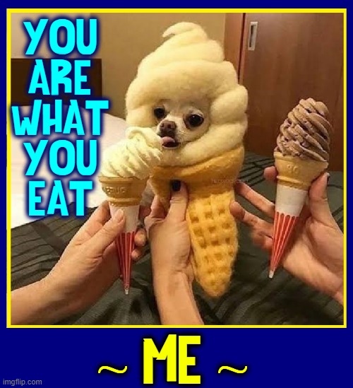 I scream. U scream. We all scream 4 ice cream even in Winter |  YOU
ARE
WHAT
YOU
EAT; ~ ME ~ | image tagged in vince vance,chihuahua,dogs,memes,ice cream,costumes | made w/ Imgflip meme maker
