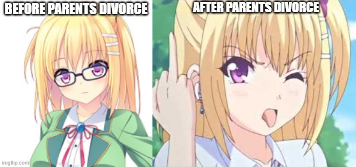 Kinda accurate IRL | AFTER PARENTS DIVORCE; BEFORE PARENTS DIVORCE | image tagged in anime girl | made w/ Imgflip meme maker