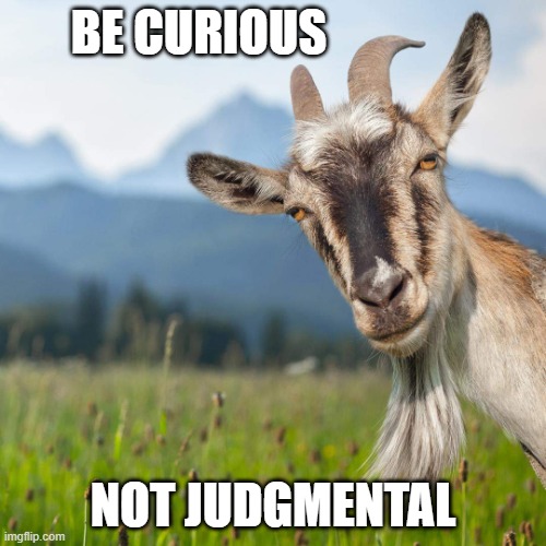 Be curious, Not Judgmental | BE CURIOUS; NOT JUDGMENTAL | image tagged in creepy condescending goat | made w/ Imgflip meme maker