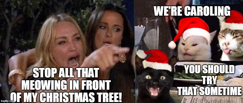 Deck the Halls with Lotsa Kitties | WE'RE CAROLING; STOP ALL THAT MEOWING IN FRONT OF MY CHRISTMAS TREE! YOU SHOULD TRY THAT SOMETIME | image tagged in woman yelling at cat,meme,memes,christmas | made w/ Imgflip meme maker