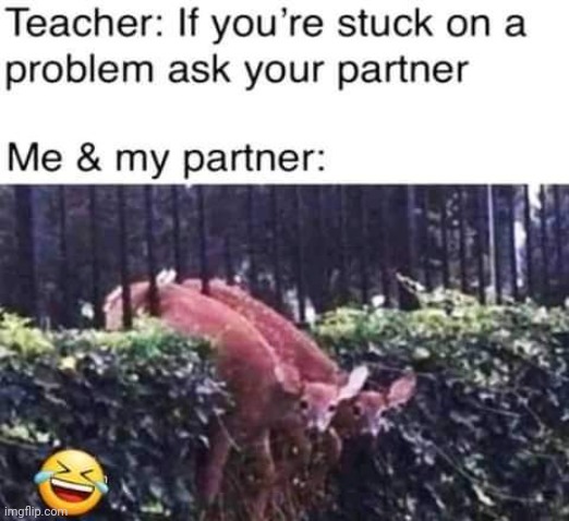 image tagged in repost | made w/ Imgflip meme maker