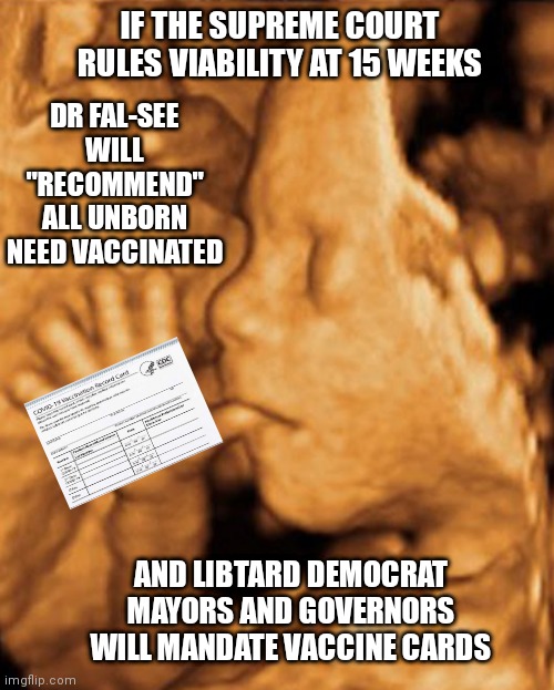 IF THE SUPREME COURT RULES VIABILITY AT 15 WEEKS; DR FAL-SEE WILL "RECOMMEND" ALL UNBORN NEED VACCINATED; AND LIBTARD DEMOCRAT MAYORS AND GOVERNORS WILL MANDATE VACCINE CARDS | made w/ Imgflip meme maker