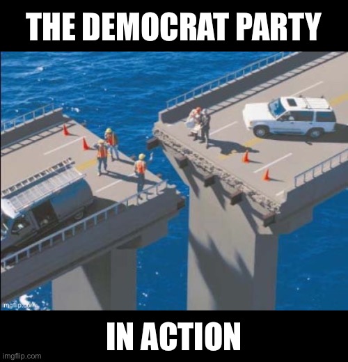 This is the Democrat Party. | THE DEMOCRAT PARTY; IN ACTION | image tagged in democrat party,communists,globalists,incompetence,dumb people,dumb and dumber | made w/ Imgflip meme maker