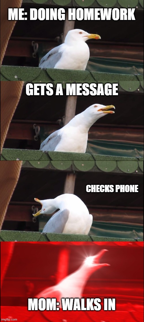 What did i say about that damn phone? | ME: DOING HOMEWORK; GETS A MESSAGE; CHECKS PHONE; MOM: WALKS IN | image tagged in memes,inhaling seagull | made w/ Imgflip meme maker