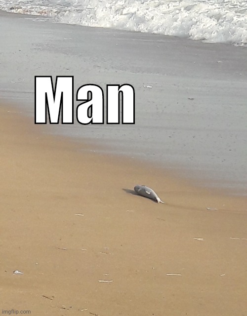 . | Man | made w/ Imgflip meme maker