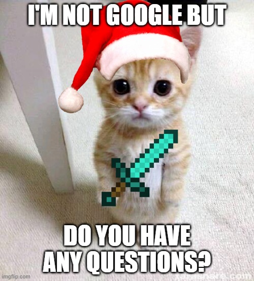 #1 | I'M NOT GOOGLE BUT; DO YOU HAVE ANY QUESTIONS? | image tagged in memes,cute cat | made w/ Imgflip meme maker