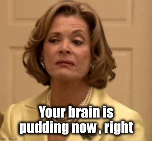 disdain | Your brain is pudding now , right | image tagged in disdain | made w/ Imgflip meme maker