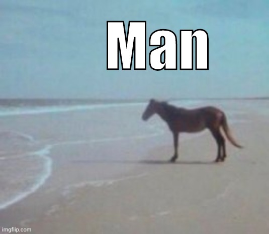 . | Man | image tagged in horse on beach man | made w/ Imgflip meme maker