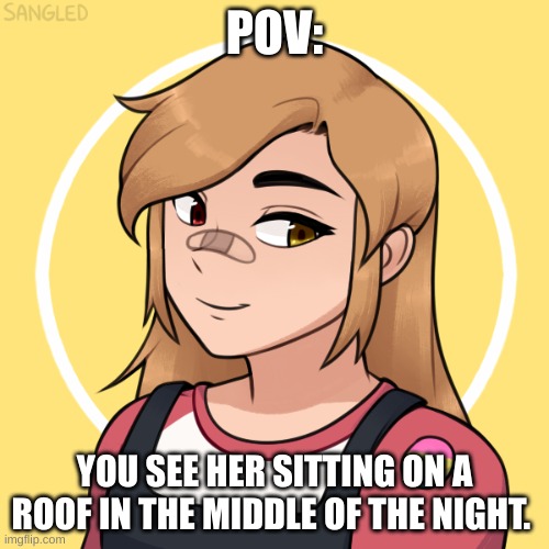 Do what you will with is | POV:; YOU SEE HER SITTING ON A ROOF IN THE MIDDLE OF THE NIGHT. | made w/ Imgflip meme maker