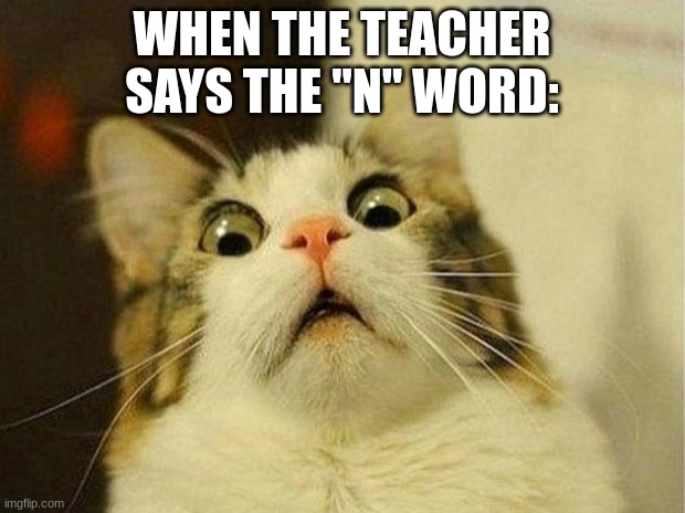 The teacher is racist | WHEN THE TEACHER SAYS THE "N" WORD: | image tagged in memes,scared cat | made w/ Imgflip meme maker