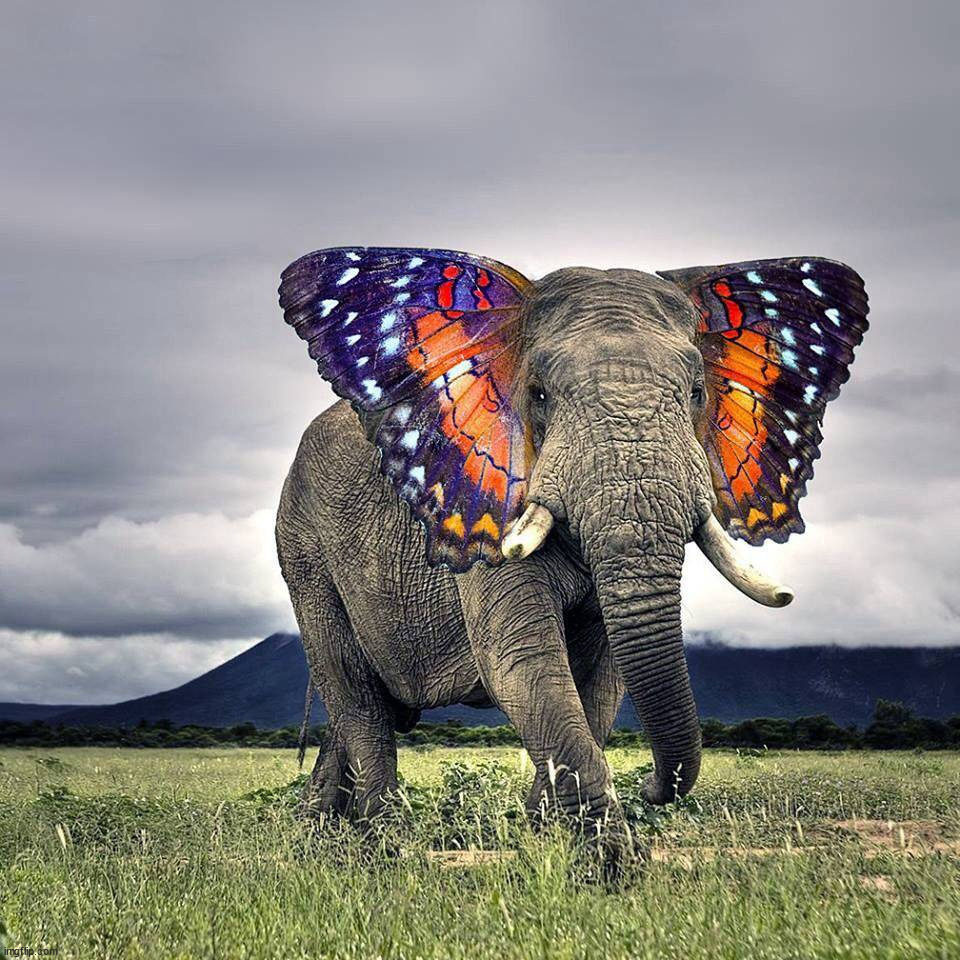 image tagged in awesome | made w/ Imgflip meme maker