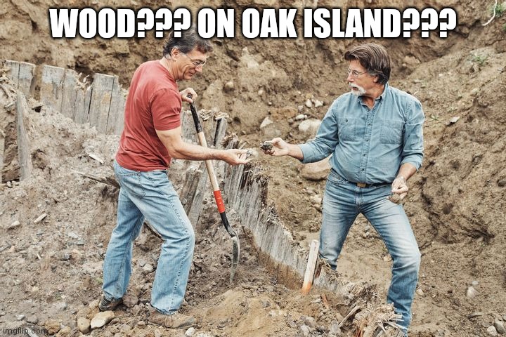 Wood? On Oak Island??? | WOOD??? ON OAK ISLAND??? | image tagged in history | made w/ Imgflip meme maker