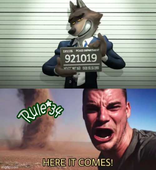 The first thing I thought of when I saw the trailer | image tagged in here it comes,dank memes,memes,rule 34,furries,funny | made w/ Imgflip meme maker