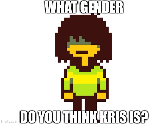 It never tells us (be nice comments) | WHAT GENDER; DO YOU THINK KRIS IS? | image tagged in blank white template | made w/ Imgflip meme maker