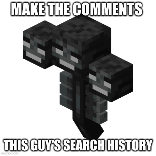 The wither | MAKE THE COMMENTS; THIS GUY'S SEARCH HISTORY | image tagged in the wither | made w/ Imgflip meme maker