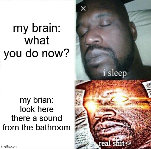 it happed to every one right? | my brain: what you do now? my brian: look here there a sound from the bathroom | image tagged in memes,sleeping shaq | made w/ Imgflip meme maker
