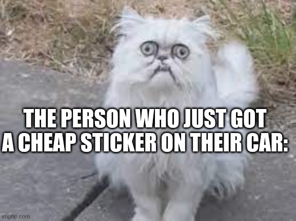 Wilfred Warrior | THE PERSON WHO JUST GOT A CHEAP STICKER ON THEIR CAR: | image tagged in wilfred warrior | made w/ Imgflip meme maker