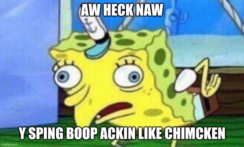 Sping Boop | AW HECK NAW; Y SPING BOOP ACKIN LIKE CHIMCKEN | image tagged in spongebob stupid | made w/ Imgflip meme maker