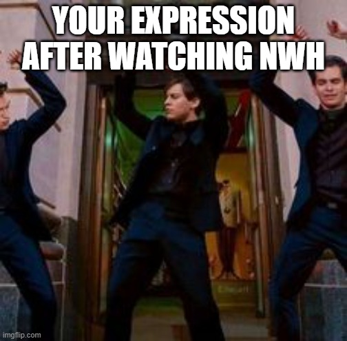 Satisfied fans NWH | YOUR EXPRESSION AFTER WATCHING NWH | image tagged in memes,spiderman | made w/ Imgflip meme maker