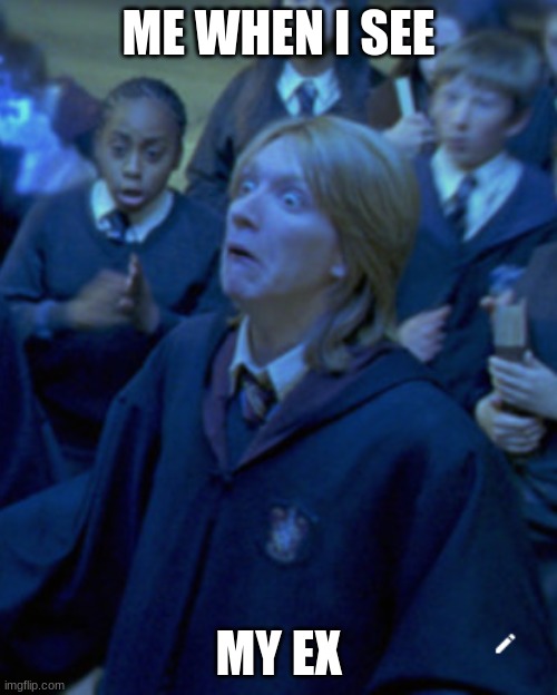 ME WHEN I SEE; MY EX | image tagged in harry potter meme,scared | made w/ Imgflip meme maker